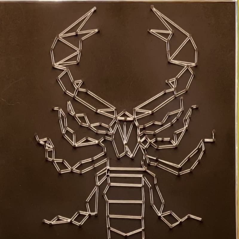 String Art Scorpio one liner